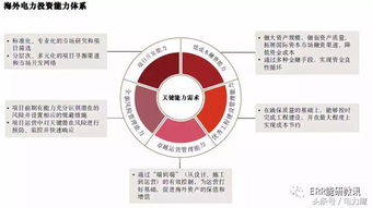 海外電力投資 趨勢、挑戰與資產管理新思路